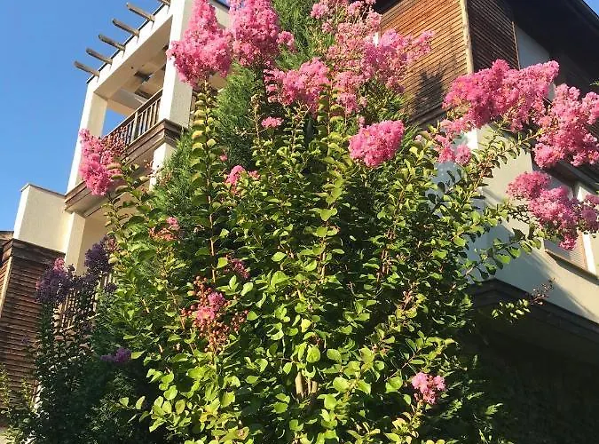 Tiny Bijou Sea View - Santa Marina -